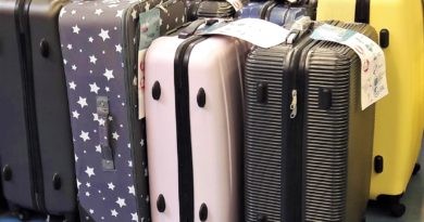 Koffer, Reisegepäck