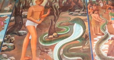 Cobra Gemälde