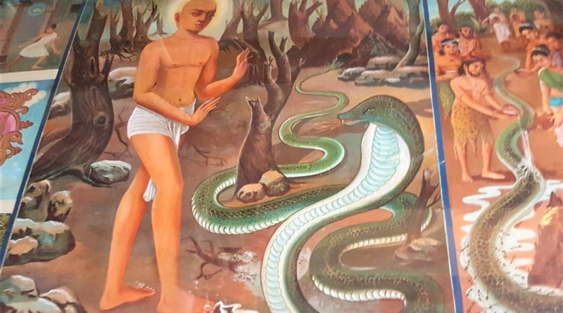 Cobra Gemälde